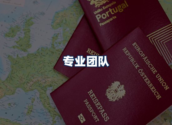 专业团队