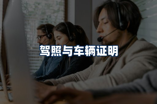 车辆证明展示